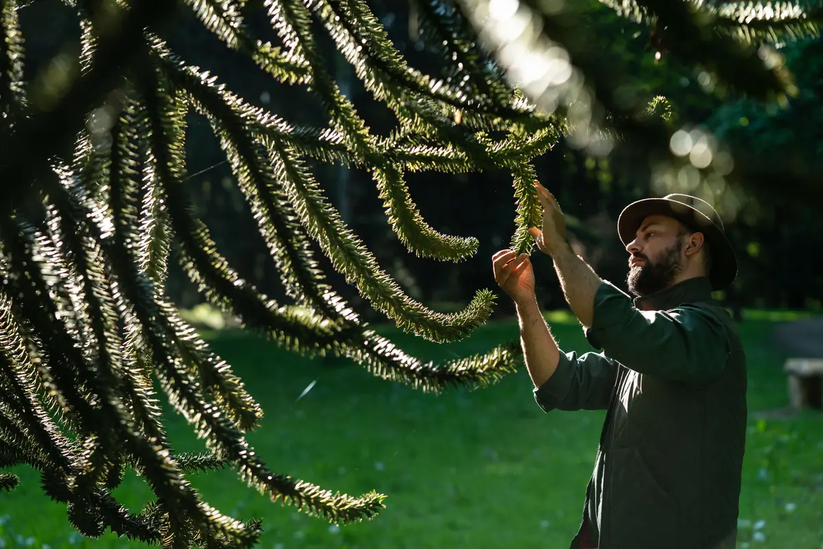 Arboretum forest ranger Kevin Knevels