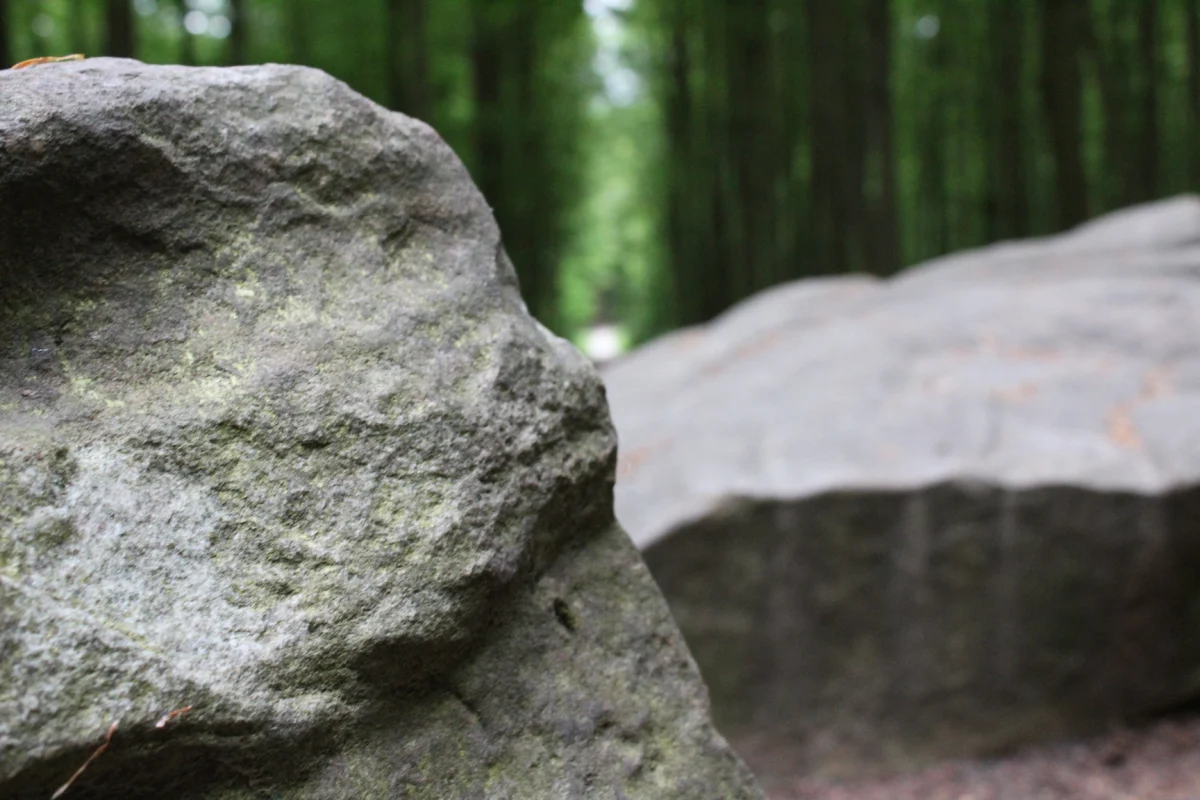 Zevenster Dolmen in Tervuren Park
