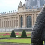 Elephant with view of the Afrikamuseum