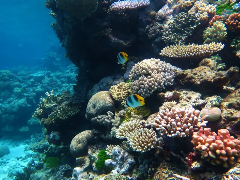 Great Barrier Reef