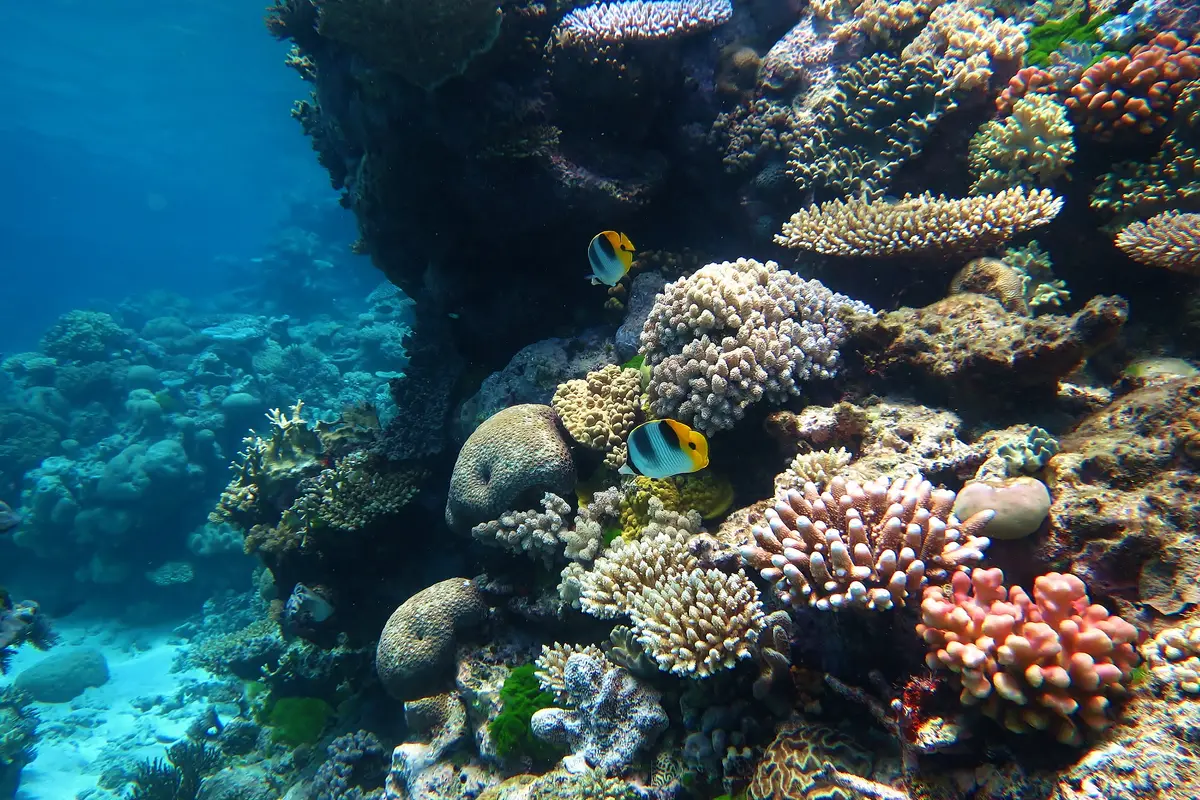 Great Barrier Reef